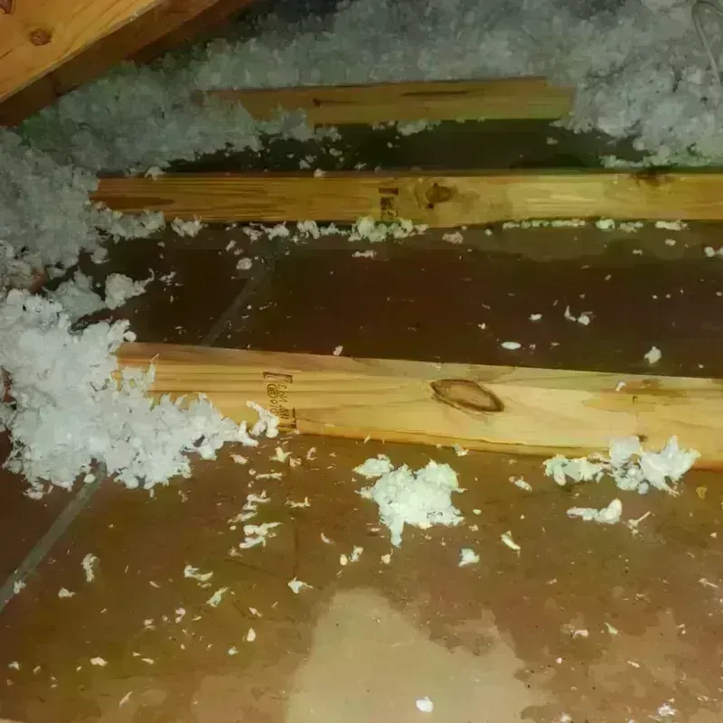 Attic Water Damage in Adams County, ND