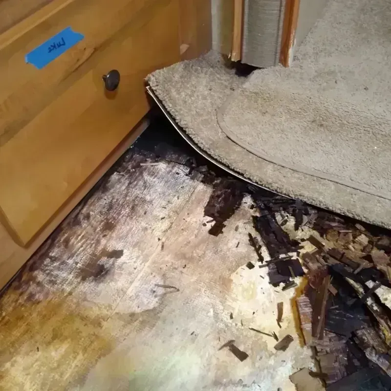 Wood Floor Water Damage in Adams County, ND